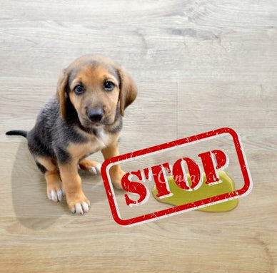 La tua casa sempre pulita e profumata!