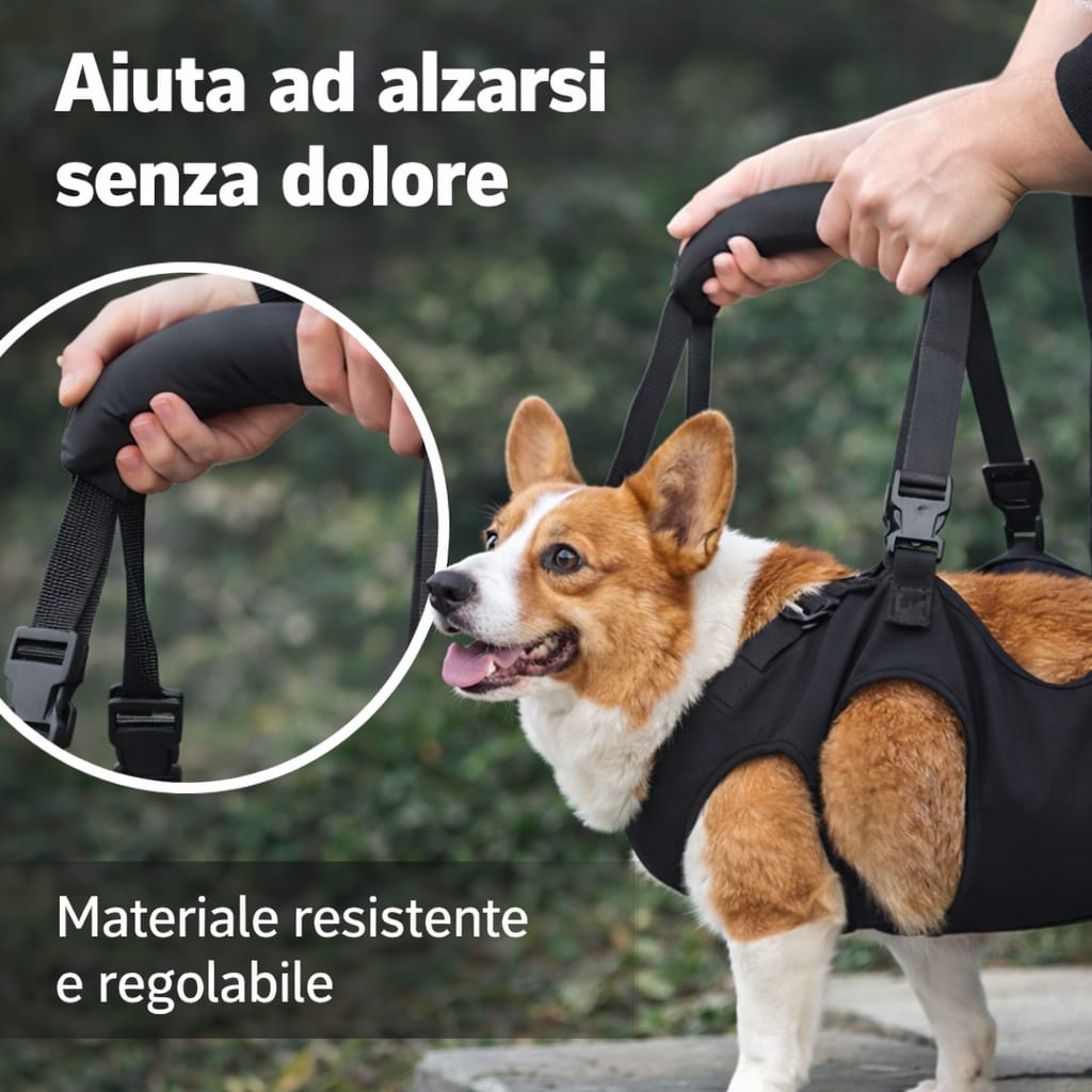 Imbracatura PassoSereno™ - Supporto per Cani Anziani e Post Intervento