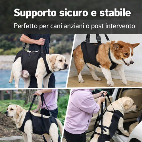 Imbracatura PassoSereno™ - Supporto per Cani Anziani e Post Intervento